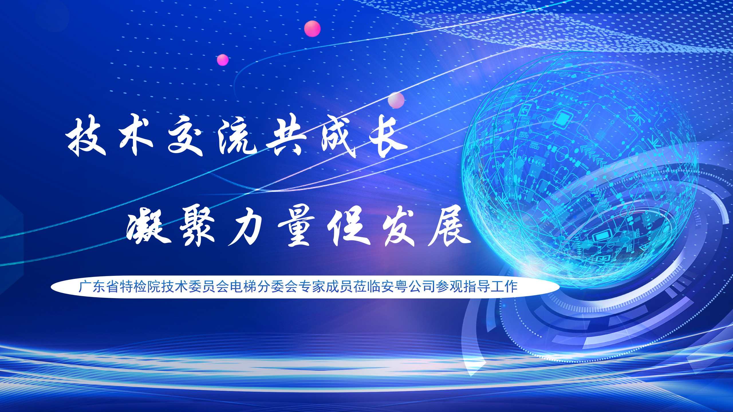 广东省特检院技术委员会电梯分委会专家成员莅临安粤公司参观指导工作